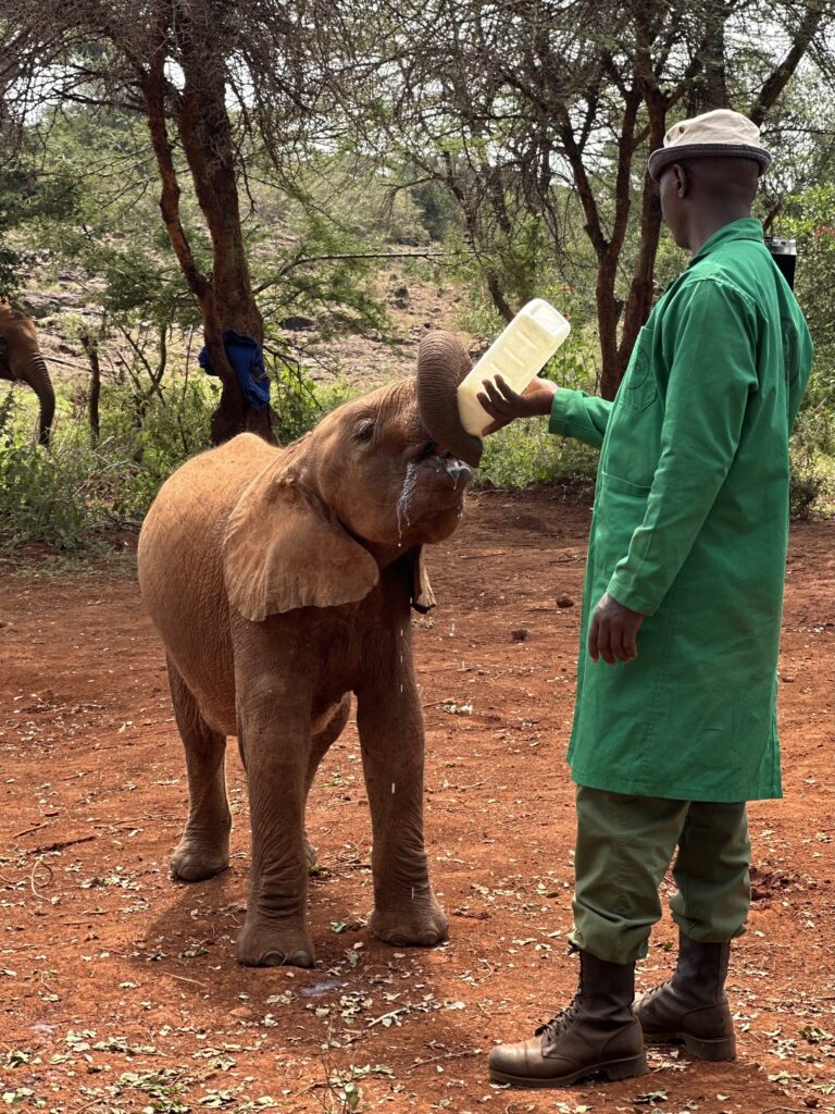 A man in green coat feeding an elephant.